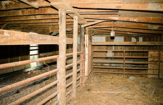22. Livestock Building Large