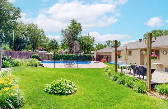 back-yard-5