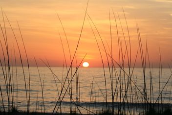 Amelia Island