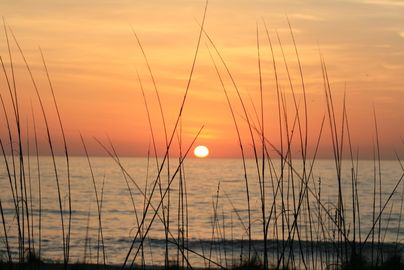 Amelia Island