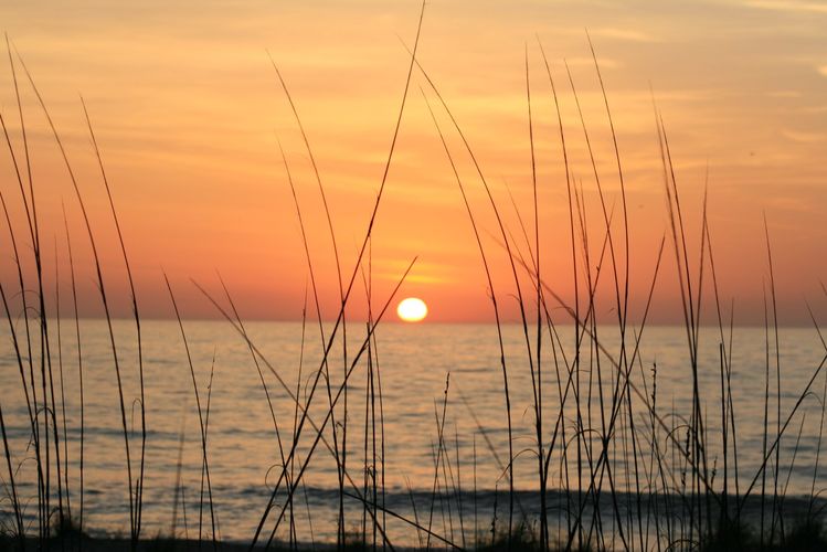 Amelia Island
