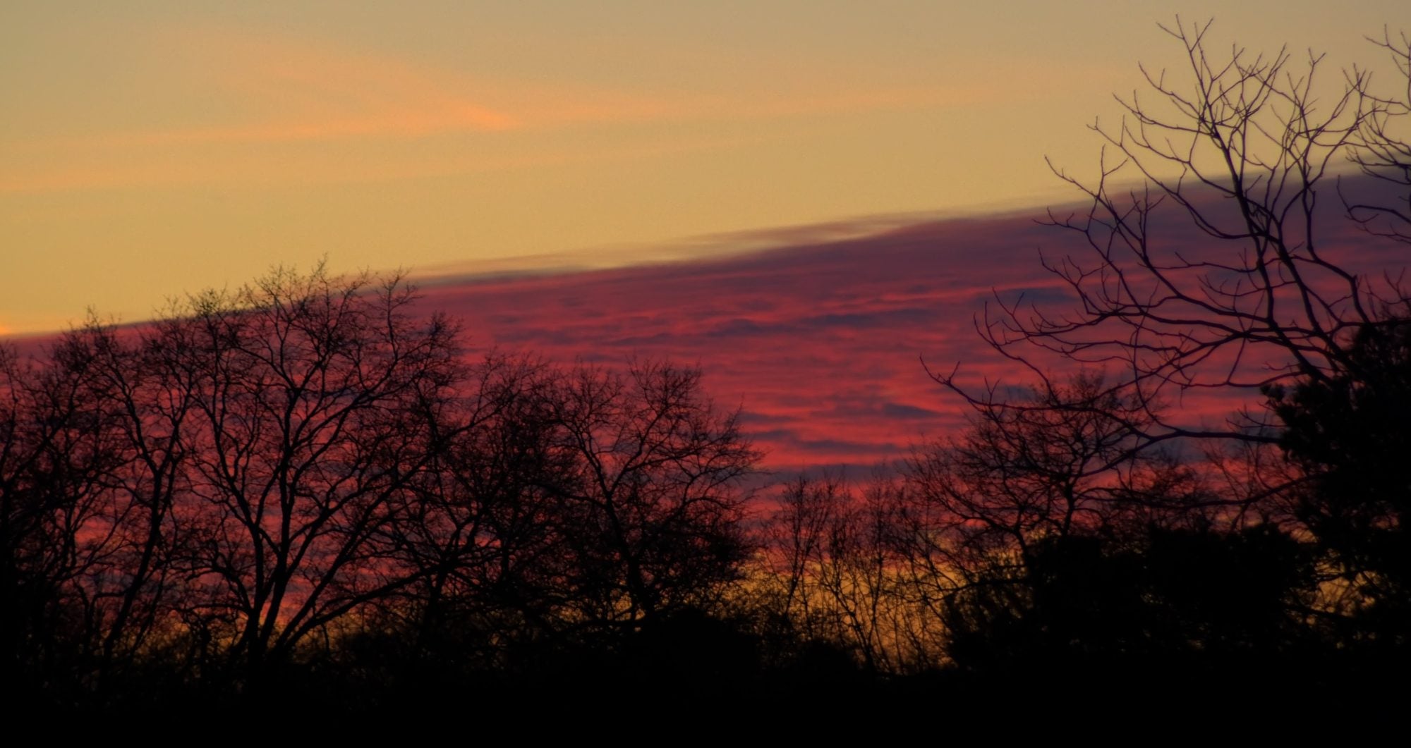 Pink and purple sunset sky over silhouetted trees at the University of Georgia in Athens