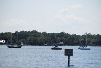 St. Johns