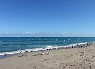 North Palm Beach