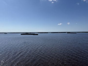 Taylor Creek