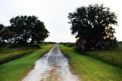 Cypress Quarters