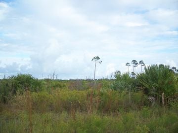 Indian River Estates