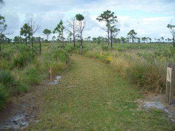River Park