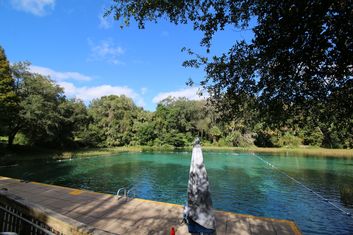 Rainbow Springs