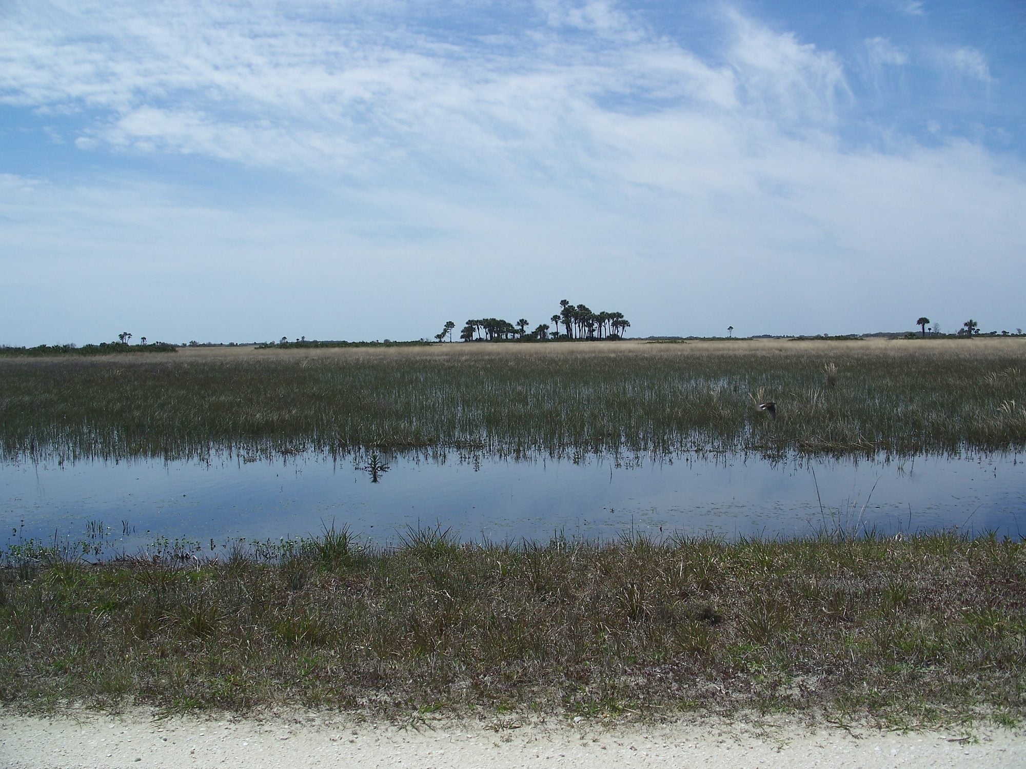 Open prairie and wetlands under a wide sky at Kissimmee Prairie Preserve State Park