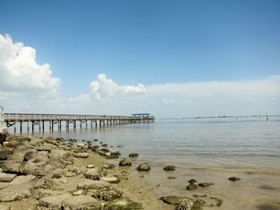 Safety Harbor