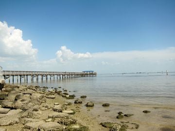 Safety Harbor