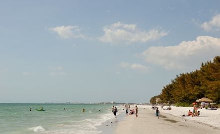 Treasure Island