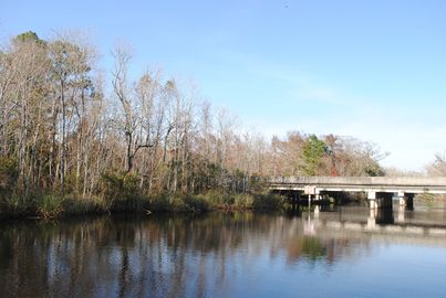 Yulee