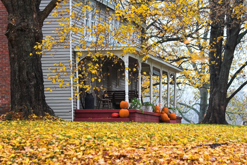 House in fall with yellowed leaves