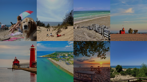 GRAND RAPIDS NEIGBORHOODS (beaches)