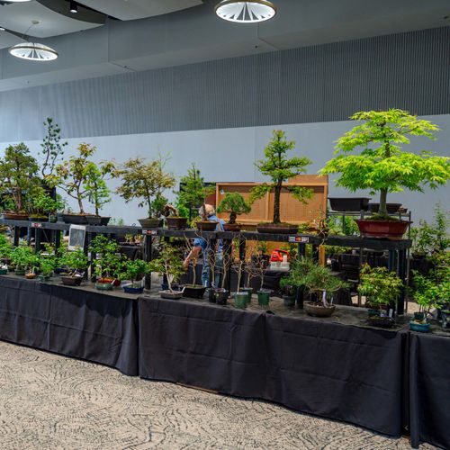 This Weekends Events in Grand Rapids | October 2-4, 2026