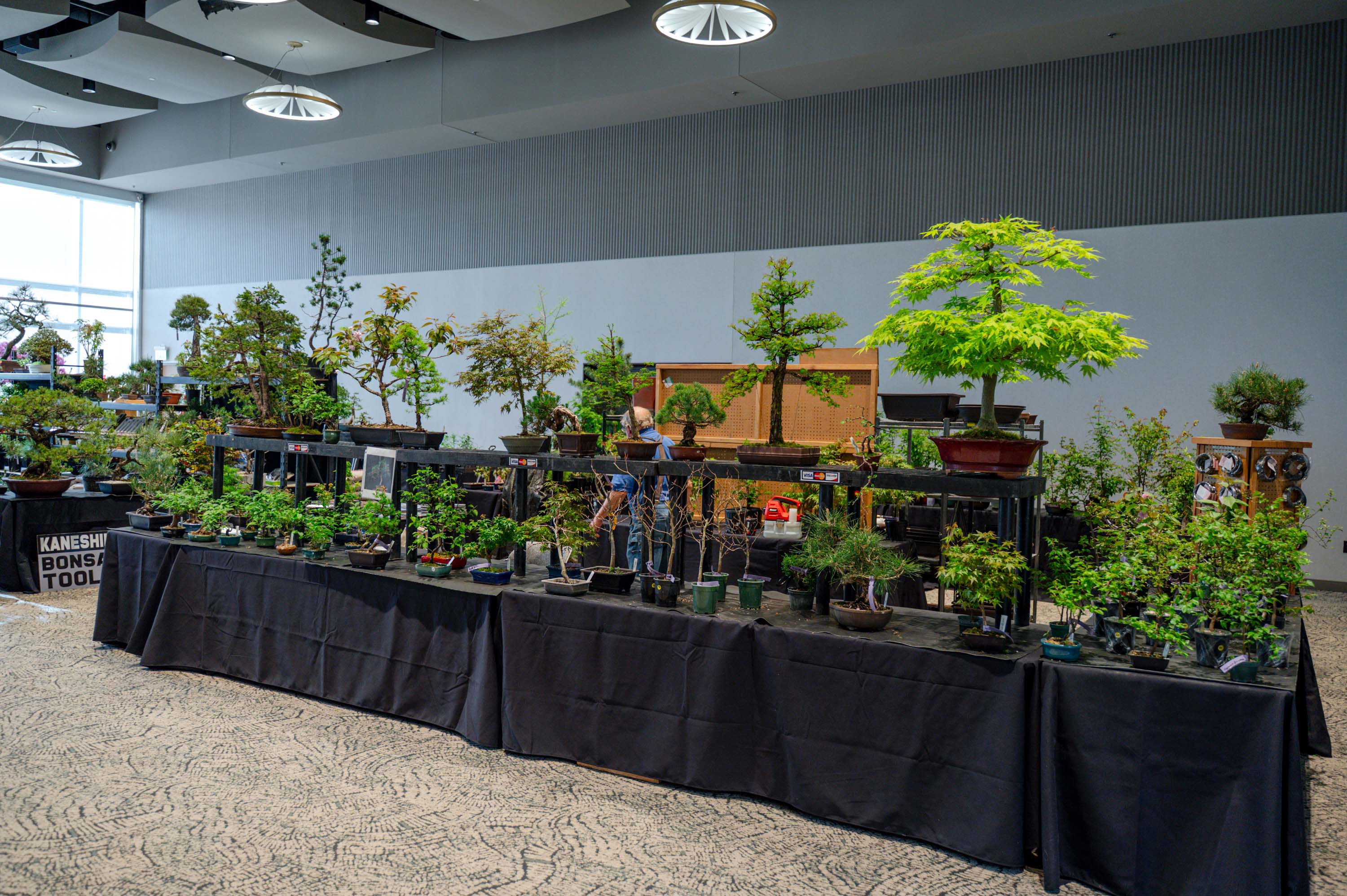 26_0509_Bonsai-Show_Eyk-5