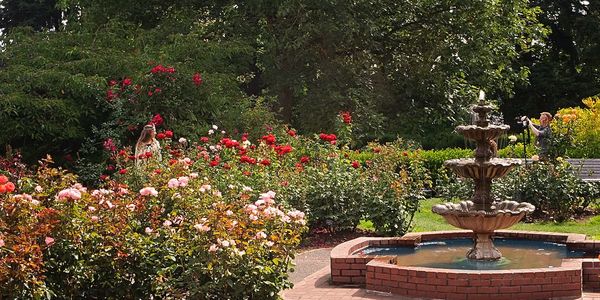 Portland Rose Gardens