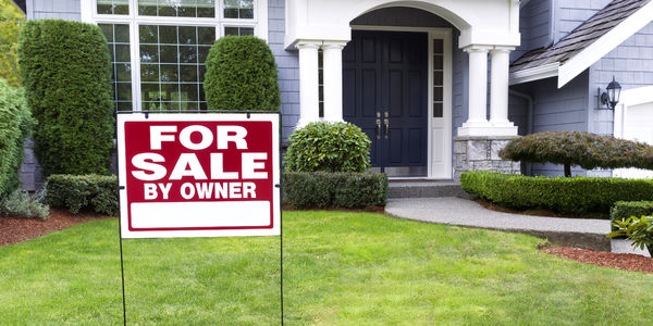 Real Estate Agent vs For Sale By Owner