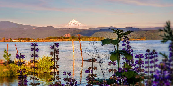 Clark County WA Real Estate Market Update 2023