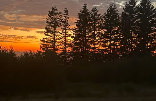IMG_3136