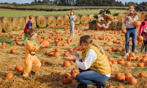 6 Family-Friendly Halloween Activities to Enjoy Around Vancouver, &hellip;