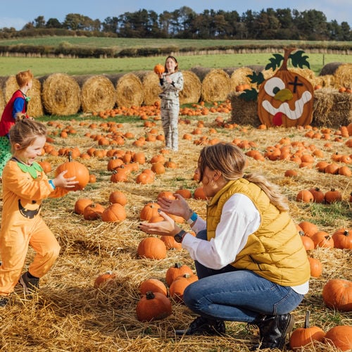 6 Family-Friendly Halloween Activities to Enjoy Around Vancouver, WA