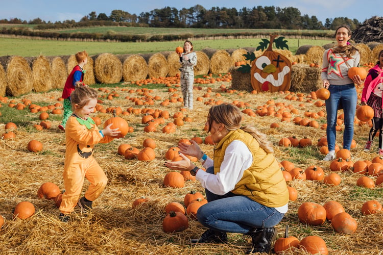 pumpkin-picking-halloween-family-fun