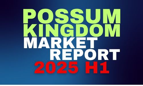 2025 H1 Market Report
