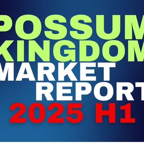 2025 H1 Market Report