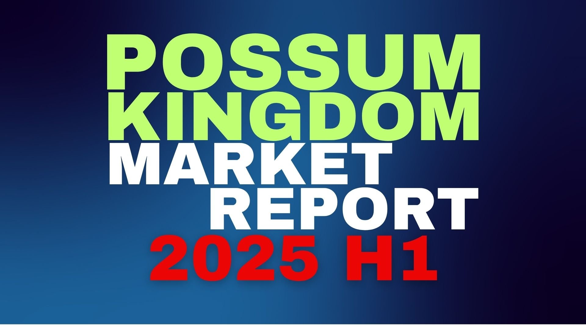 2025 Report H1