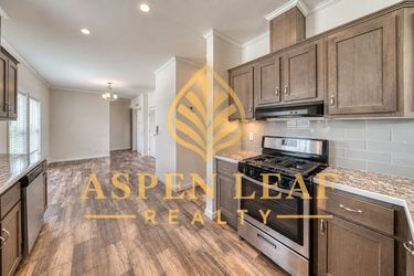 Modern Kitchen with Aspen Leaf Realty Watermark