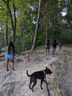 Lance Gallery Img 10