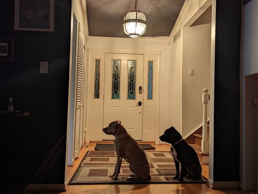 Lance Gallery Img 14