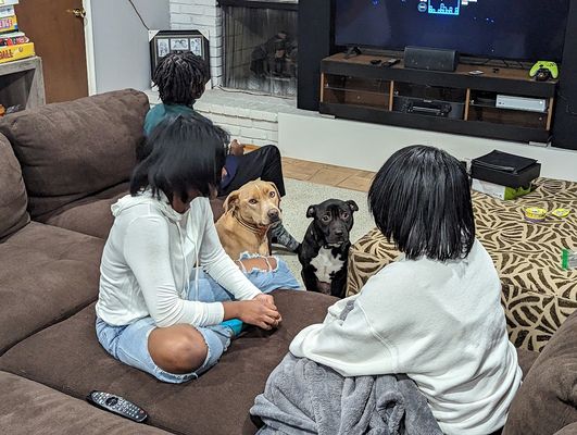 Lance Gallery Img 15