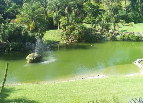 pinecrest-_-south-miami