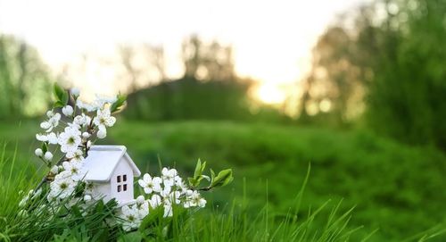 How To Sell Inherited Property