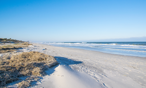 Who’s the Best Realtor in Jacksonville, FL?
