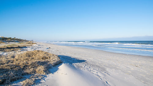 Who’s the Best Realtor in Jacksonville, FL?