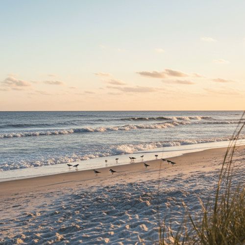 Who Is the Best Realtor in Jacksonville FL?