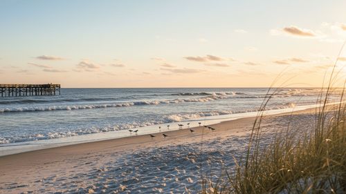 Who Is the Best Realtor in Jacksonville &hellip;
