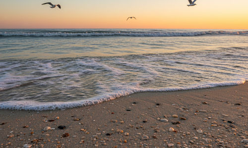 Is Jacksonville FL Good for Families? The &hellip;