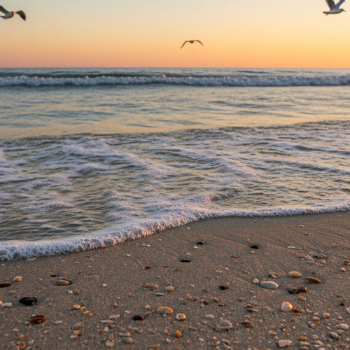 Is Jacksonville FL Good for Families? The Honest Truth