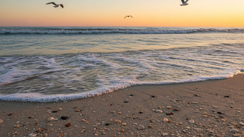 Is Jacksonville FL Good for Families? The &hellip;