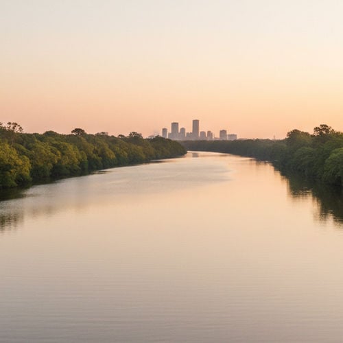 Is Jacksonville, FL Safe? The 2026 Reality