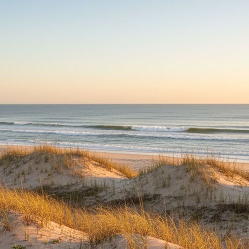 Jacksonville vs. Ponte Vedra Beach: The 2026 Comparison Guide