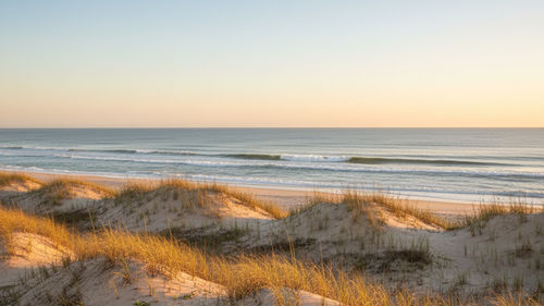 Jacksonville vs. Ponte Vedra Beach: The 2026 &hellip;