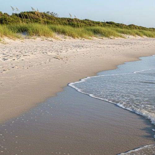 Retirement Communities in Jacksonville, FL: A Local’s Guide to the First Coast