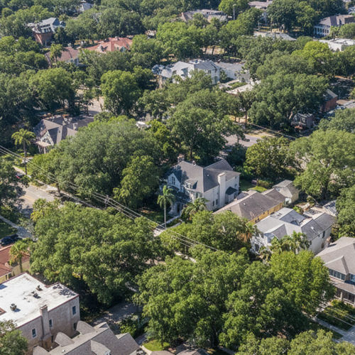 Avondale Jacksonville, FL Area Guide: Real Estate and Neighborhood Details for 2026